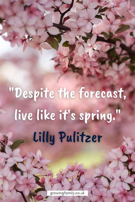 Spring Quotes And Spring Sayings To Inspire And Energise You