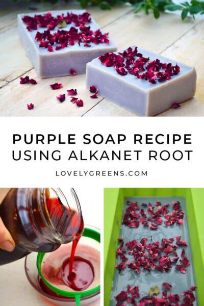 How To Make Natural Purple Soap With Alkanet Root • Lovely Greens