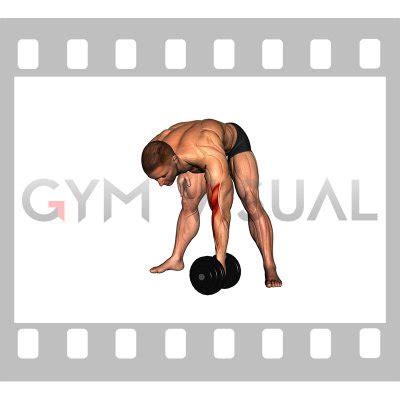 Dumbbell Standing Concentration Curl