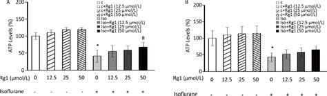 Figure 1 From Ginsenoside Rg 1 Attenuates Isoflurane Induced Caspase 3