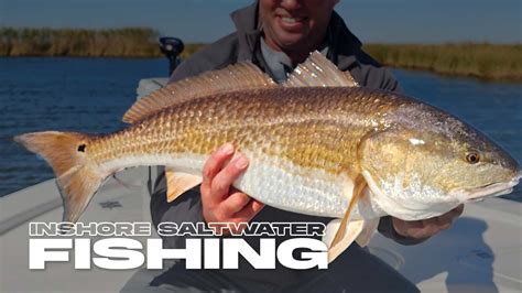 inshore saltwater fishing   gulf  mexico