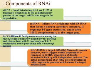 Gene Silencing Techniques For Crop Improvement PPT