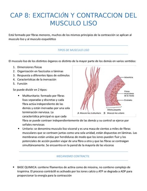 Capitulo Y Tratado De Fisiologia De Guyton Y Hall Cap