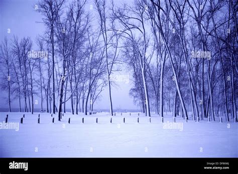 Winter scene. Pennsylvania. USA Stock Photo - Alamy