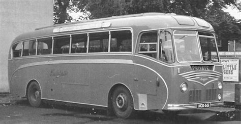 Leyland Royal Tiger 1950 1955