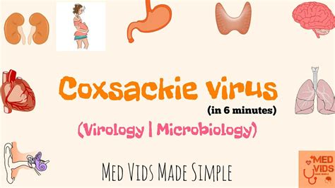 Coxsackievirus | Microbiology | Med Vids Made Simple - YouTube