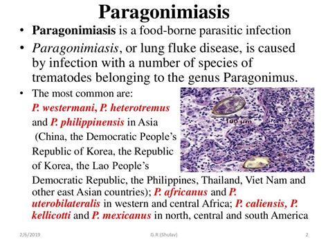 Paragonimus westermani