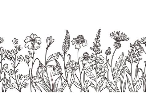 Sketch Wild Flowers Pattern Field Plants Flower Hand Drawn