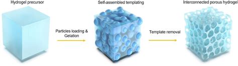 Highly Elastic Interconnected Porous Hydrogels Through Selfassembled