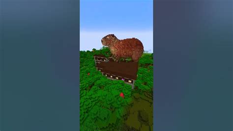Капибара? #капибара #майнкрафт #minecraft #kapibara #topmusic - YouTube