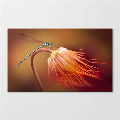 Fire And Ice Canvas Print By Jablam Society6