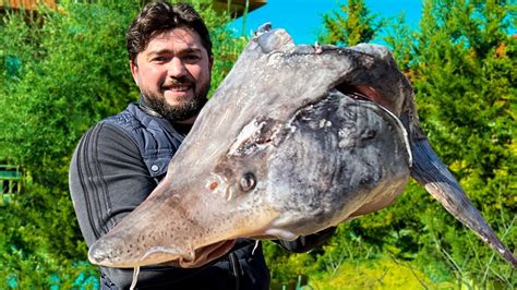 FISH SOUP From A Huge Fish Head Cooking Tasty Sturgeon Ukha Soup