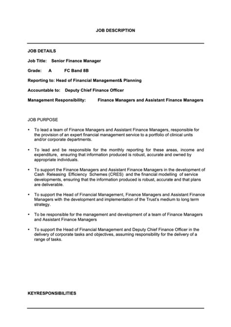 senior finance manager job description printable