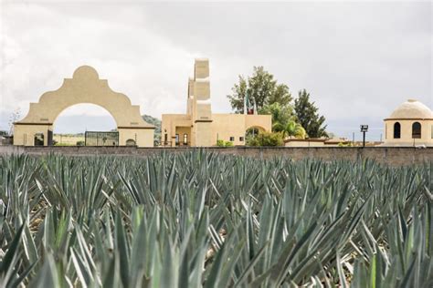 Se celebrará por primera vez en México el Día Nacional del Mezcal