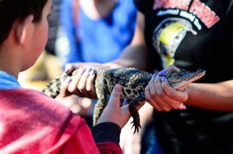 Animal Encounters - Animal World and Snake Farm