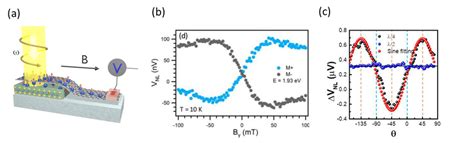 Alternative Spintronics In Graphene And Other 2d Materials A