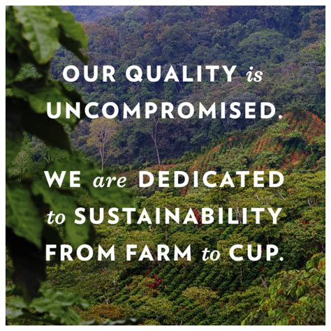Coffee And Chicory Coffee Pods 12 Count Community Coffee
