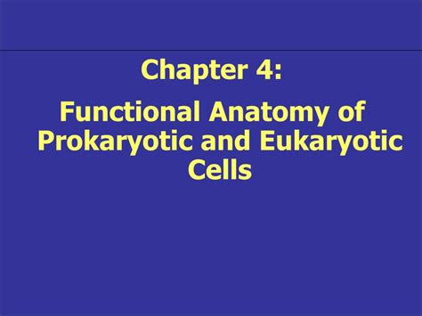 Ppt Chapter Functional Anatomy Of Prokaryotic And Eukaryotic Cells