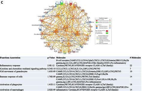 Ingenuity Pathway Analysis Ipa Predicted Innate Response Cellular