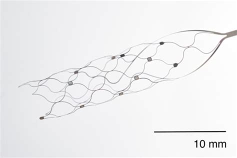 Synchron Announces First Human U S Brain Computer Interface Implant