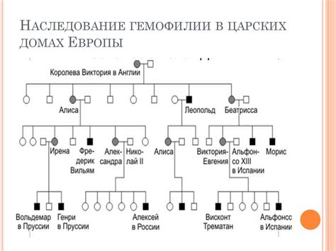 Методы исследования генетики человека - online presentation