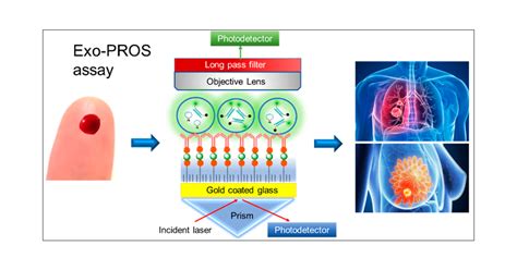 Simultaneous Detection Of Tumor Derived Exosomal Proteinmicrorna Pairs