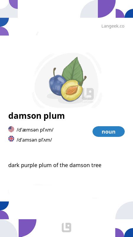 Definition Meaning Of Damson Plum Picture Dictionary