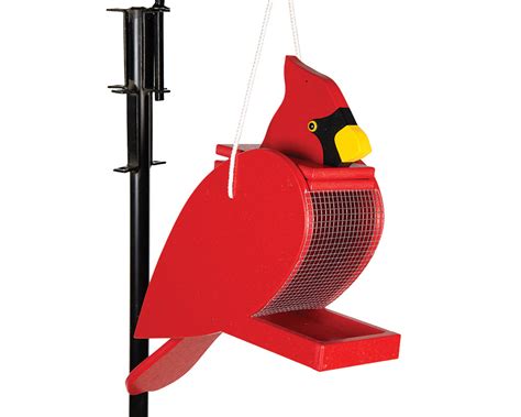 Cardinal Poly Bird Feeder | Green Acres Outdoor Living