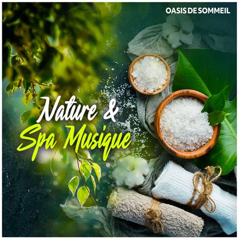 Nature And Spa Musique Album By Oasis De Sommeil Spotify