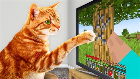 I Taught My Cats To Beat Minecraft In Real Life Youtube