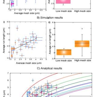 Total Run Lengths For Experimental And Simulated Trajectories A