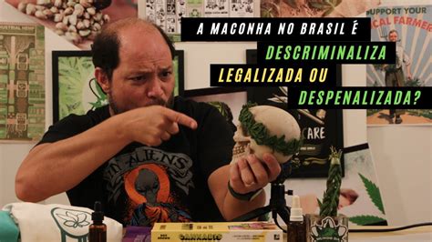 A Maconha No Brasil é Descriminalizada Legalizada Ou Despenalizada Para O Usuário Youtube