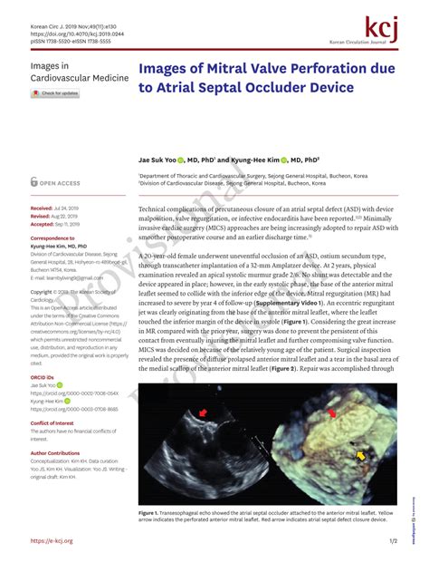 PDF Images Of Mitral Valve Perforation Due To Atrial Septal Occluder