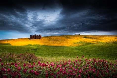 Wallpaper Sunlight Landscape Sunset Flowers Hill Nature Sky