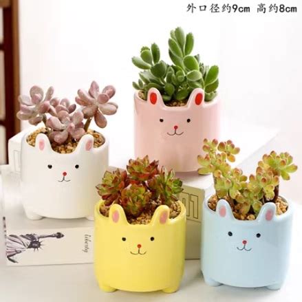 Ceramic Plant Pots (Set of 4) – Oishi Bunnies