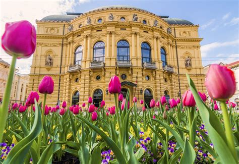 Programs In Spring Szeged Tourinform