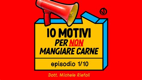 10 Motivi Per Non Mangiare Carne VEGANOK TV