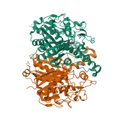 RCSB PDB 5SOD PanDDA Analysis Group Deposition Crystal Structure