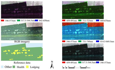 Rgb Imagery And Multispectral Imagery Download Scientific Diagram