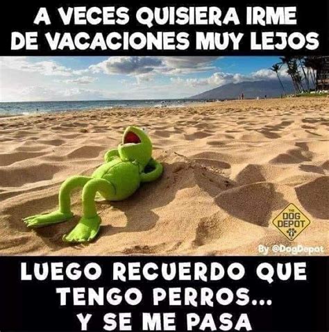 Pin de Yola SeGa en Rana René Frases Quiero vacaciones Memes Perros