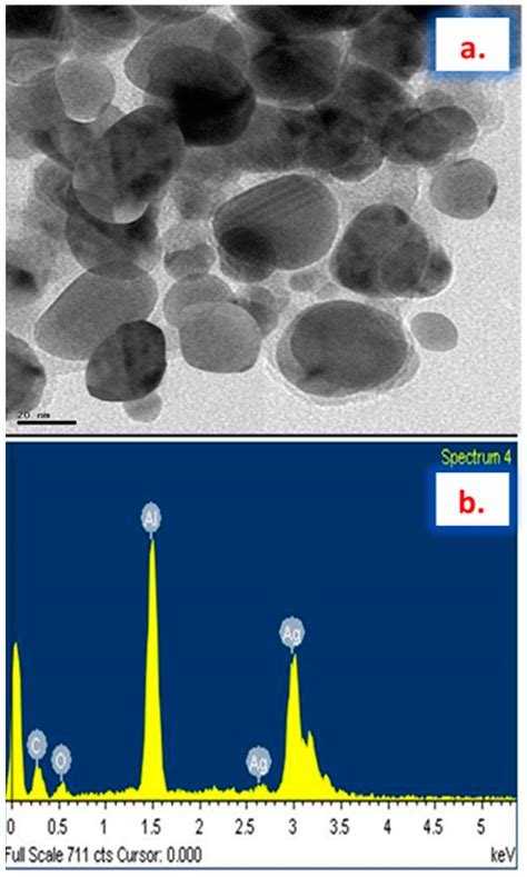 Efficacy Of Antimicrobial And Larvicidal Activities Of Green