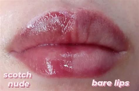 Scotch Nude Canyon Romand Rom Nd Review And Swatches Cosmestic