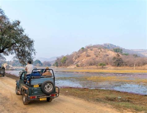 From Jaipur Overnight Ranthambore Tiger Safari Private Tour