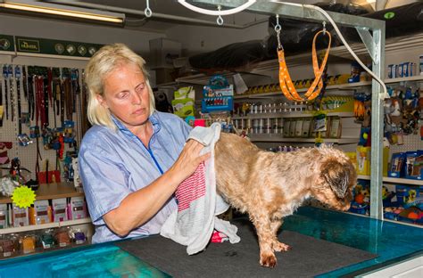 Galerie Bathing Anjas Hundesalon