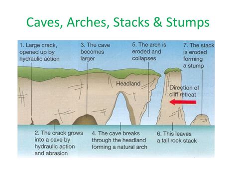 The Formation Of Caves Arches And Stacks Golearngeography