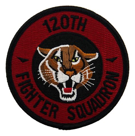 Air Force Fighter Squadron Patches | Flying Tigers Surplus