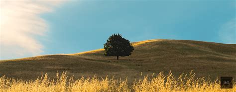 Country Hills Panorama Fine Art Wall Art Artistry And Love