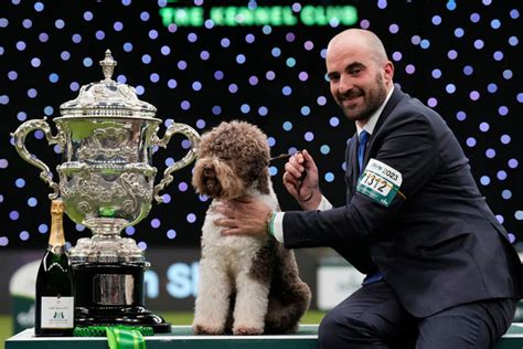 Crufts 2024 On Television How To Watch The Worlds Biggest Dog Show