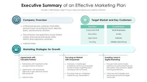 Must Have Executive Summary Marketing Plan Templates