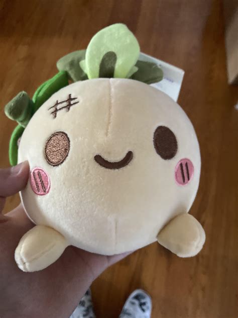 I Just Got My Turnip Boy Plush Today Turnipboy